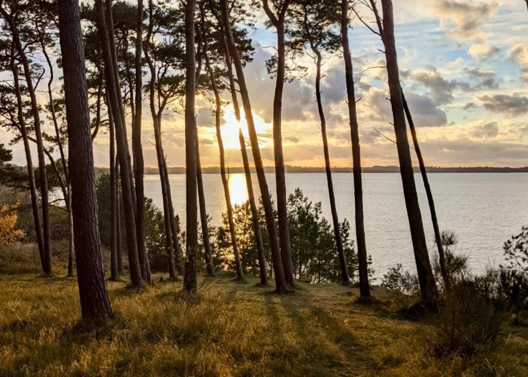 Tallskog - Dein Apartment Am Naturstrand Hohen Wieschendorf Hohenkirchen  Kültér fotó