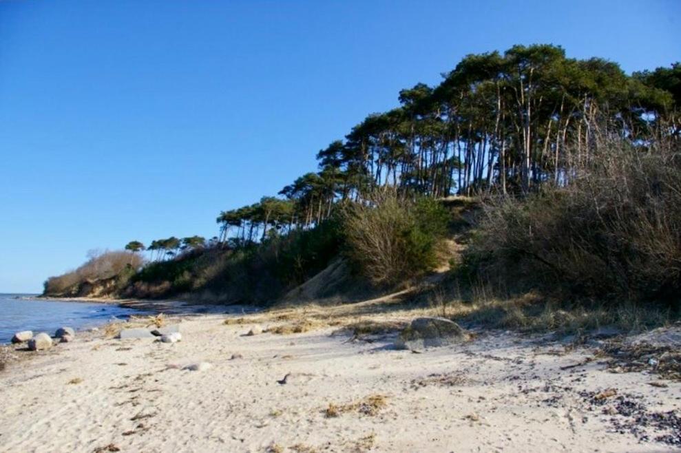 Tallskog - Dein Apartment Am Naturstrand Hohen Wieschendorf Hohenkirchen  Kültér fotó