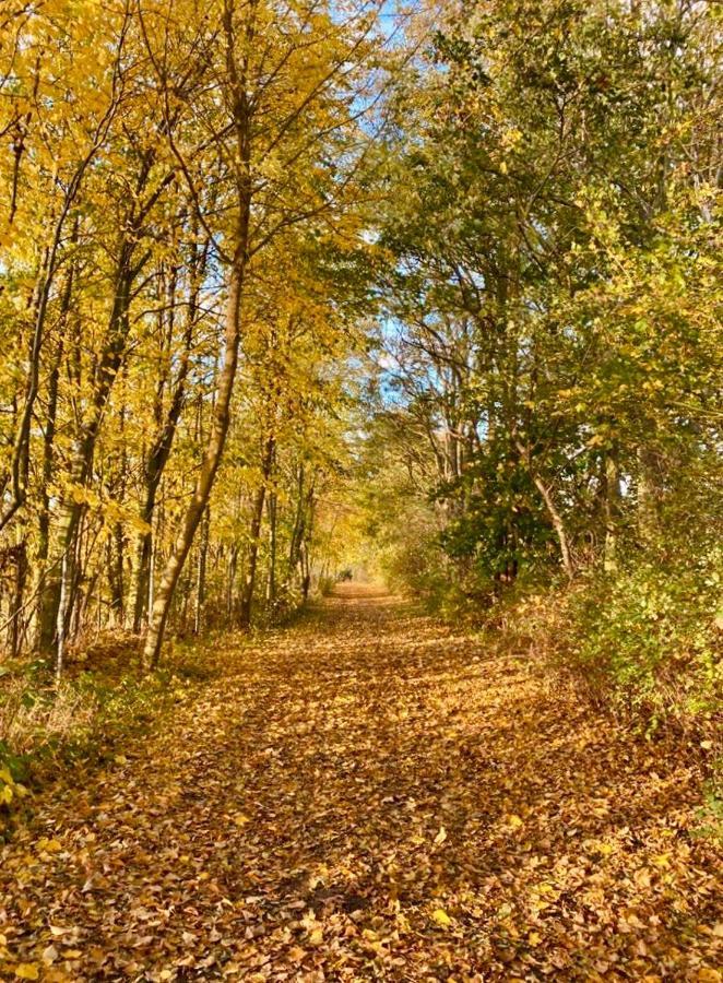 Tallskog - Dein Apartment Am Naturstrand Hohen Wieschendorf Hohenkirchen  Kültér fotó