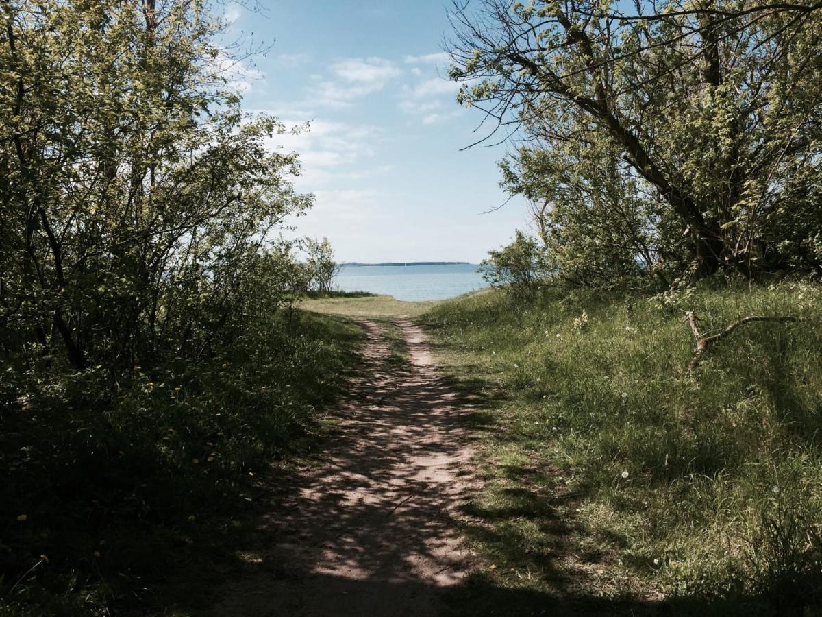 Tallskog - Dein Apartment Am Naturstrand Hohen Wieschendorf Hohenkirchen  Kültér fotó