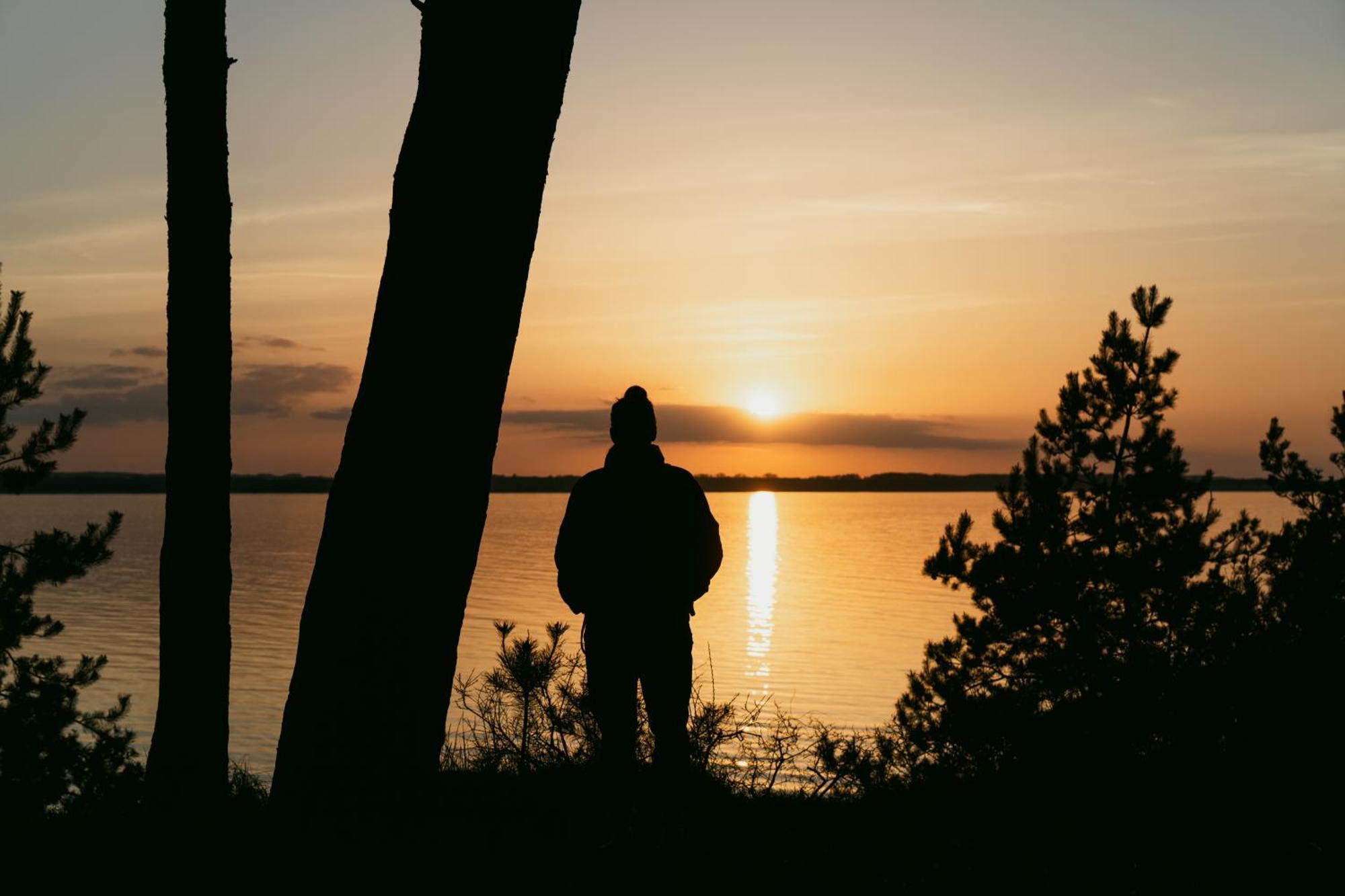 Tallskog - Dein Apartment Am Naturstrand Hohen Wieschendorf Hohenkirchen  Kültér fotó